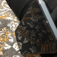 ایفون دوازده پرو رنگ ابی 256G|موبایل|زاهدان, |دیوار