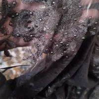 چادر مجلسی شیک|لباس|قرچک, پارس سرام|دیوار