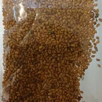 بذر یونجه فروشی سه چین پایه بلند ۲۰۰ کیلو