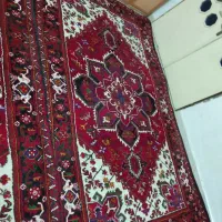 فرش دستبافت|فرش|اسکو, |دیوار