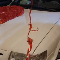 ماشین سمند  الیکس ساده