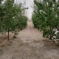 فروش باغچه تهران فیروزبهرام چهاردیوارتک برگ۱۰۰۰متر