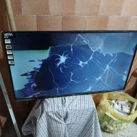 تلویزیون ۴۳|تلویزیون و پروژکتور|رشت, کوی مهر|دیوار