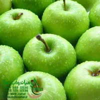 تولید و توزیع نهال سیب سبز پرمحصول