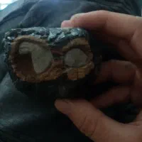 خروس محلی|کلکسیون و سرگرمی|چوار, |دیوار