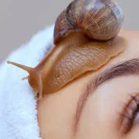 حراج حلزون فقط و فقط ۵۰ هزار تومان