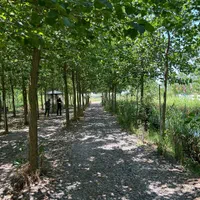 متفاوت و آسان تر ویلا خرید کنید|فروش خانه و ویلا|طالقان, |دیوار