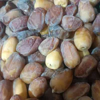 انواع خرما خوزستان|خوردنی و آشامیدنی|رشت, بلوار گیلان|دیوار