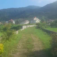 باغی داخل طرح ۵۵۰ متری اوشیان