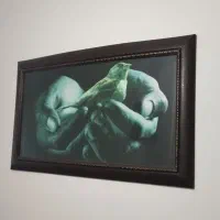 تابلو عکس پرنده