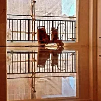 کفسابی و سنگسابی تضمینی (تمام تهران)|خدمات نظافت|تهران, نیروی هوایی (پیروزی)|دیوار