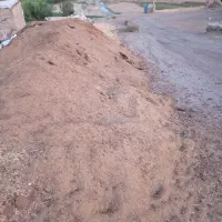 کود گوسفندی و گاو