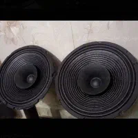 باند میدرنج