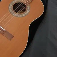 گیتار M5|گیتار، بیس، امپلیفایر|بجنورد, |دیوار