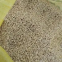 برنج عنبر خوزستان شعیبیه شوشتر|خوردنی و آشامیدنی|کارون, |دیوار