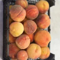 هلو|خوردنی و آشامیدنی|اصفهان, بهارستان|دیوار