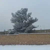 125متر-مسکونی-توس39