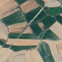 زمین علیآباد