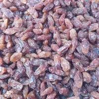 مویز|خوردنی و آشامیدنی|صحنه, |دیوار