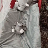 ...|تخت و صندلی بچه|خوی, |دیوار