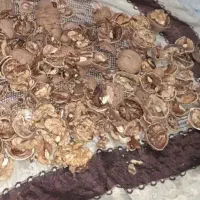 گردو روستای طراقی کرد به زمانت|خوردنی و آشامیدنی|بجنورد, |دیوار
