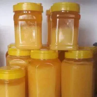 روغن زردگاوی خاص و طبیعی