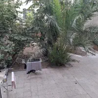 رهن و اجاره ط همکف ۲۵۰ متر ، امیرآباد