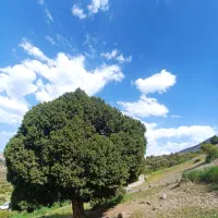 کوهنوردی ـ دوچرخه سواری ـ اسب سواری وطبیعتگردی