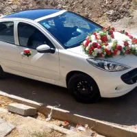 بادکنک آرایی.گل ارایی.اجاره ی دکور.ماشین عروس و.|خدمات پذیرایی، مراسم|همدان, |دیوار