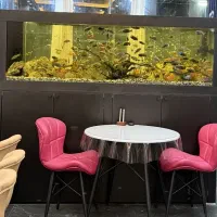 آکواریوم ۲ متری همراه چارچوب فلزی و کمد ام دی اف|ماهی|لنگرود, |دیوار