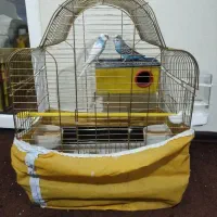 قفس پرنده با سایرلوازم