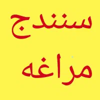راننده میخام از مراغه به سنندج و برعکس