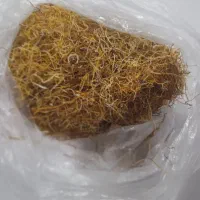 ریشه زعفران