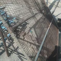 تخت خانوادگی