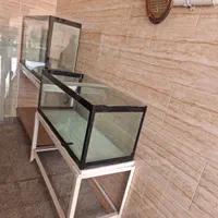 آکواریوم ماهی|ماهی|کرمان, |دیوار