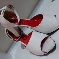 کفش مجلسی|کیف، کفش، کمربند|فومن, |دیوار