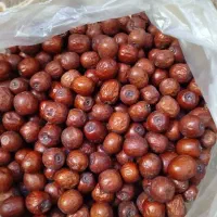عناب بیرجندی تازه