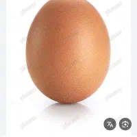 تخم مرغ لاری))