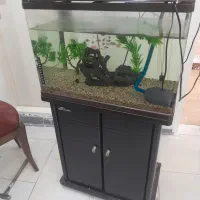 آکواریوم شیشه خم پایه دار