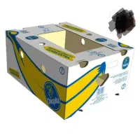 کارتن موزی با کیفیت خوب