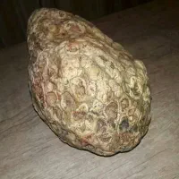 شهاب سنگ ده ونیم کیلویی زیبا