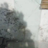شیشه رو میزی 8 میل