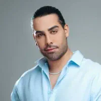 بلیط کنسرت مجید رضوی دارم