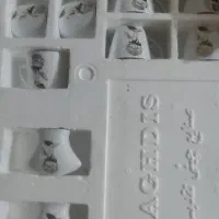 چینی 18 نفره تقدیس|ظروف سرو و پذیرایی|پاکدشت, پاکدشت (مامازند)|دیوار