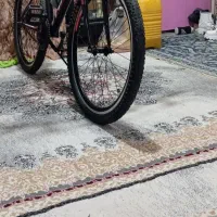 دوچرخه VIVA خشک