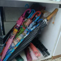 شیکر شارژی|خردکن، آسیاب، غذاساز|رشت, حمیدیان|دیوار