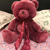 خرس ولنتاین