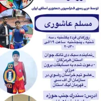 آموزش اصولی و تخصصی ووشو ساندا