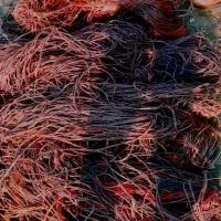 نخ پرس برای بستن سیر