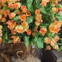 گلدان|گل مصنوعی|قرچک, مهدیه|دیوار